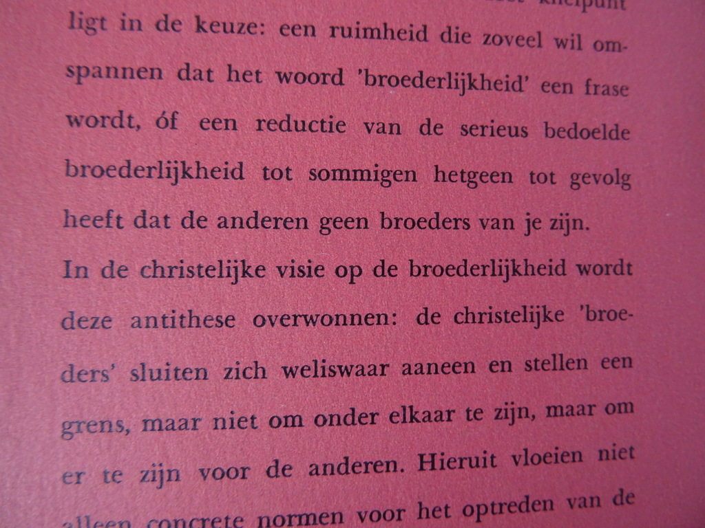 Joseph Ratzinger De Christelijke broederlijkheid - Afbeelding 6