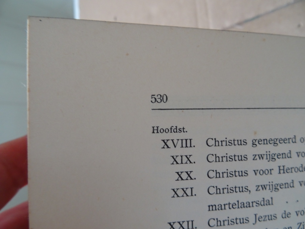 K. Schilder Christus in zijn lijden - Afbeelding 13