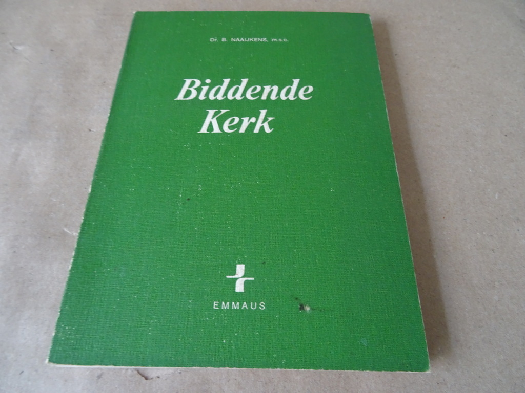 Dr. B. Naaijkens M.S.C. Biddende Kerk - Afbeelding 2