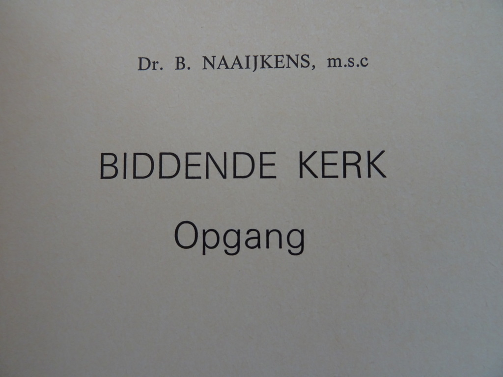 Dr. B. Naaijkens M.S.C. Biddende Kerk - Afbeelding 5
