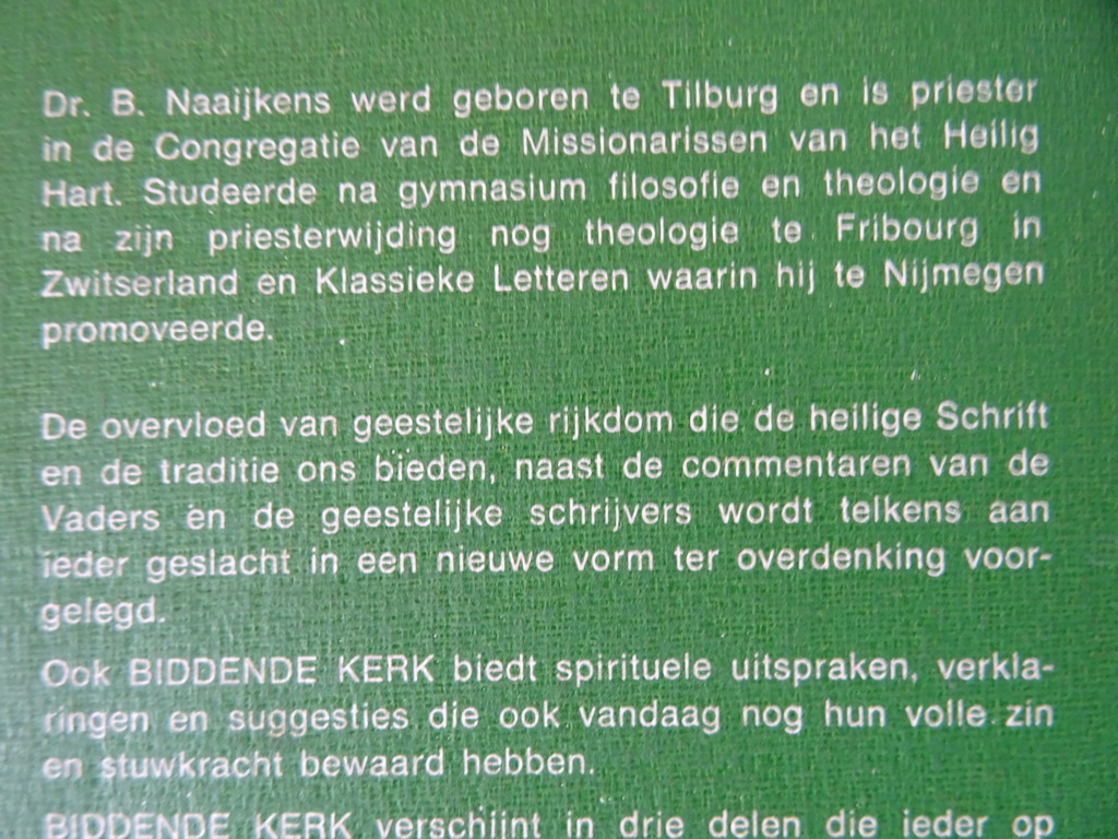 Dr. B. Naaijkens M.S.C. Biddende Kerk - Afbeelding 14