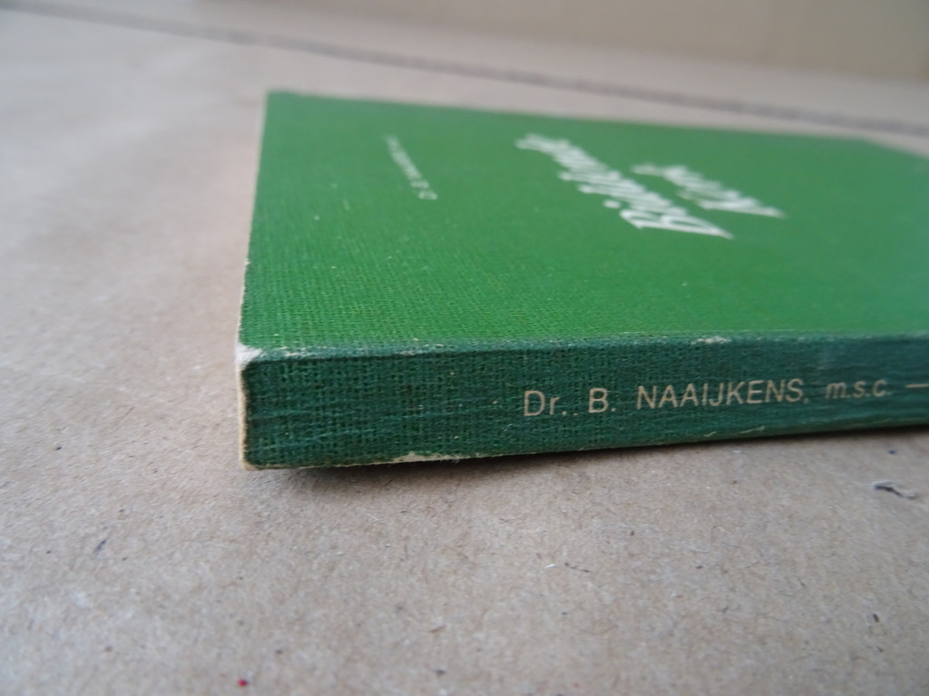 Dr. B. Naaijkens M.S.C. Biddende Kerk - Afbeelding 20