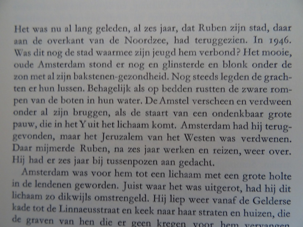 Siegfried E. van Praag Jeruzalem van het westen - Afbeelding 9