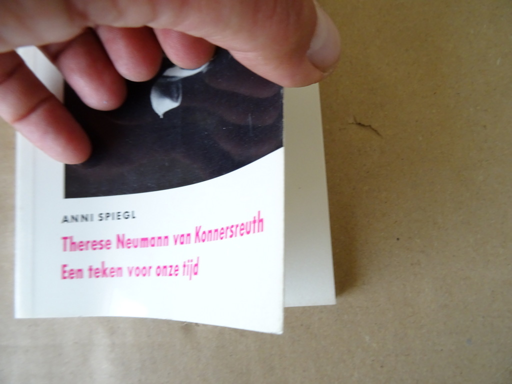 Anni Spiegl Therese Neumann von Konnersreuth - Afbeelding 2