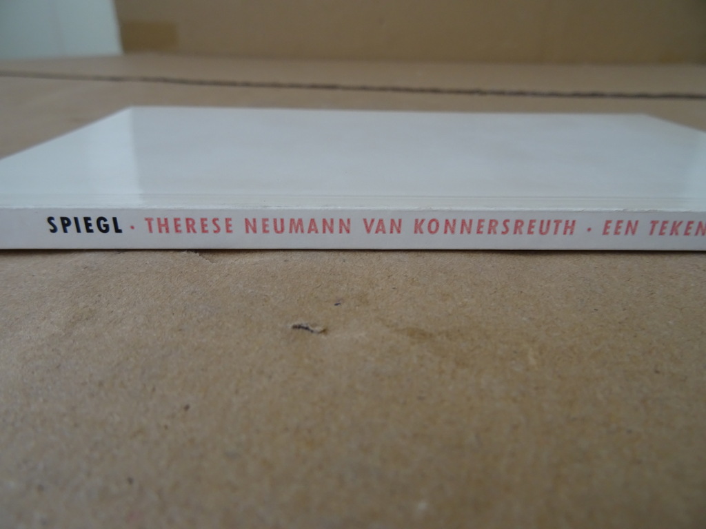 Anni Spiegl Therese Neumann von Konnersreuth - Afbeelding 14