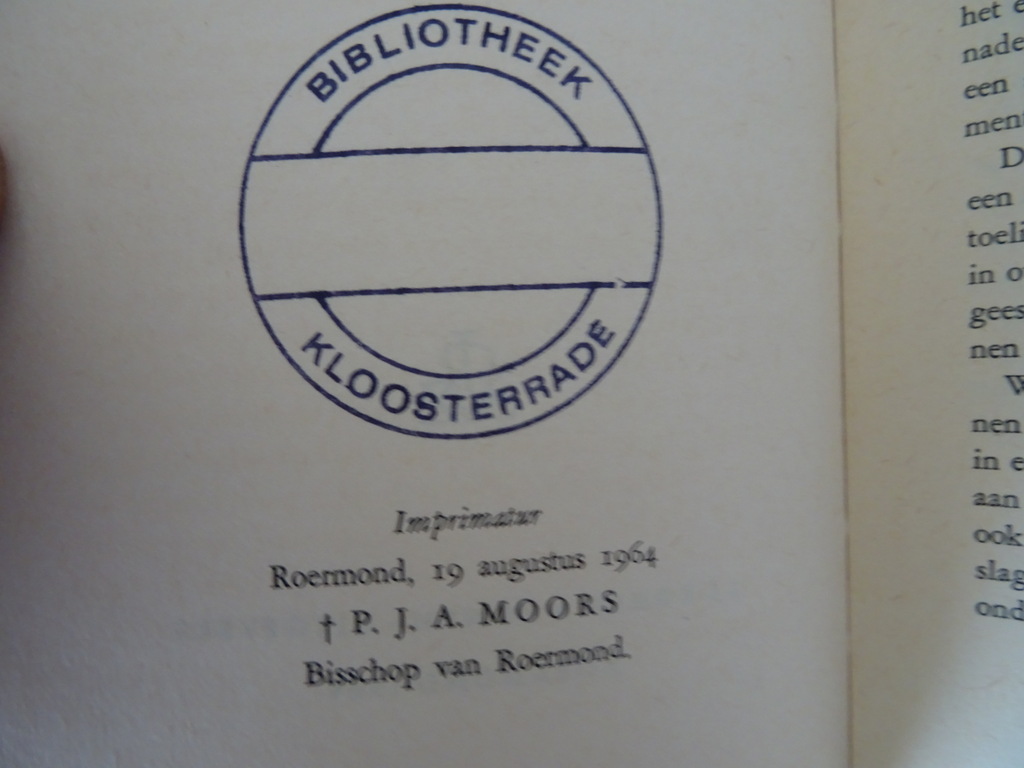 Bisdom Roermond Intocht der kinderen - Afbeelding 7