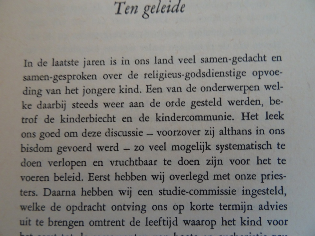 Bisdom Roermond Intocht der kinderen - Afbeelding 8