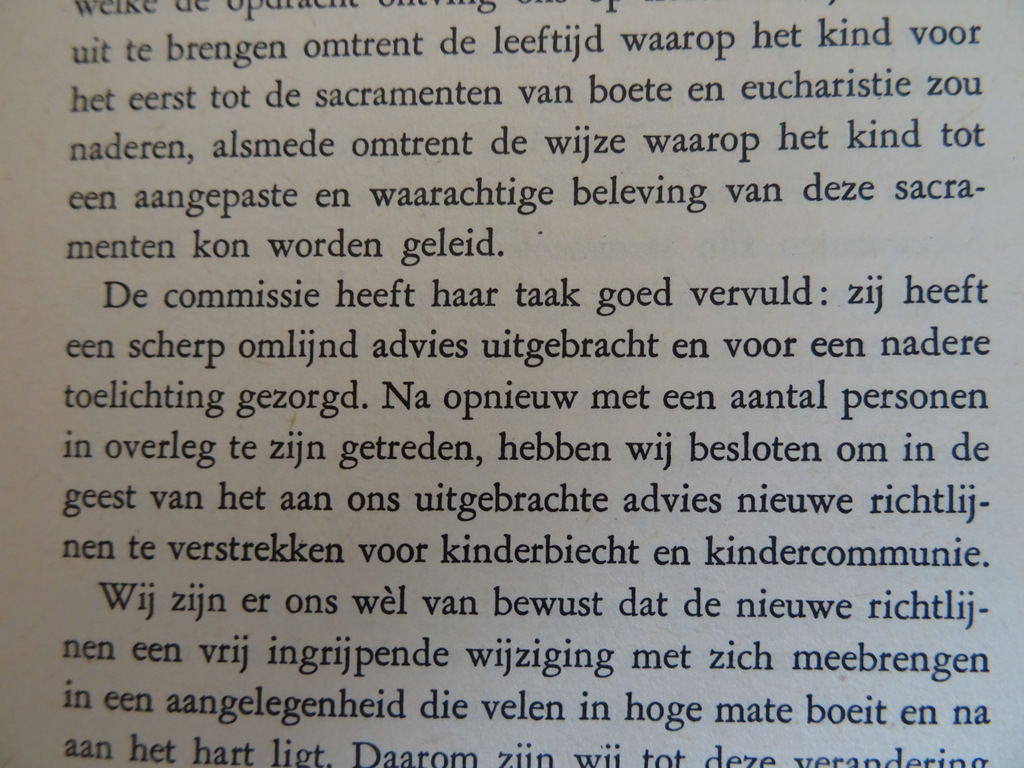 Bisdom Roermond Intocht der kinderen - Afbeelding 9