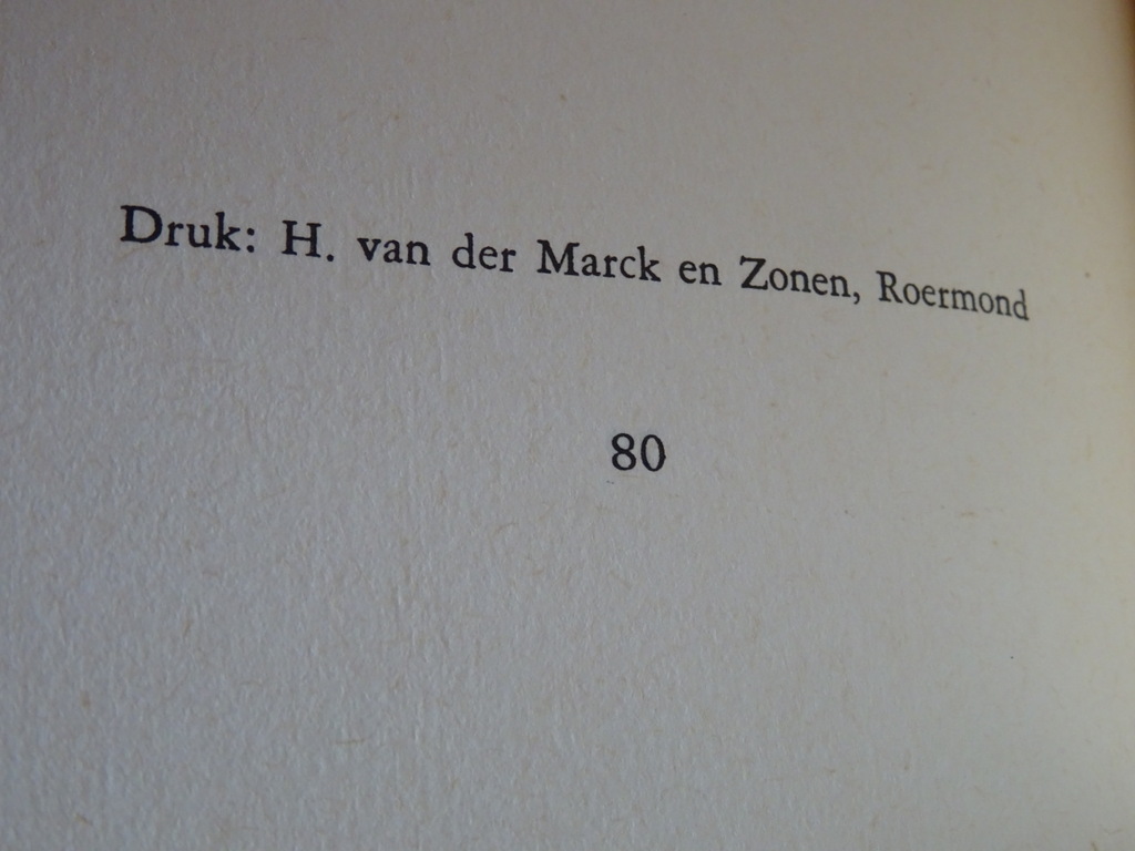 Bisdom Roermond Intocht der kinderen - Afbeelding 12