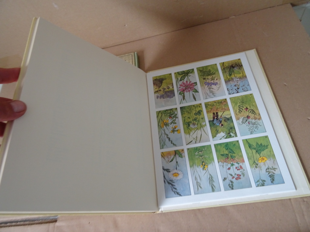 Set plaatjesalbums Jac. P. Thijsse Lente Zomer Herfst Winter - Afbeelding 15