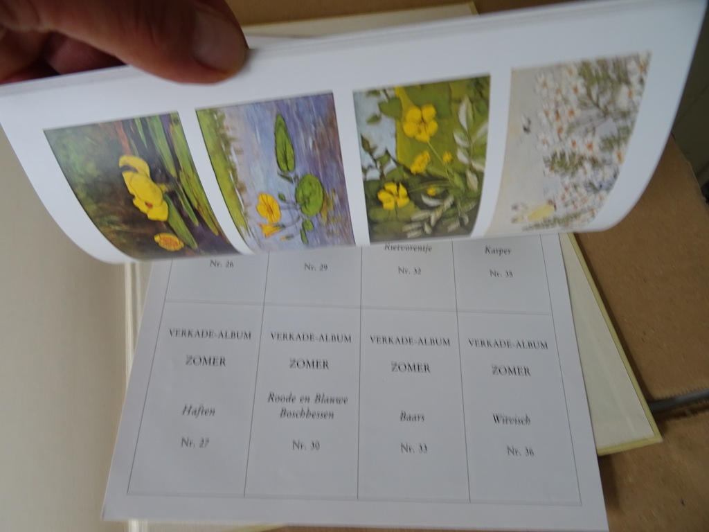 Set plaatjesalbums Jac. P. Thijsse Lente Zomer Herfst Winter - Afbeelding 16