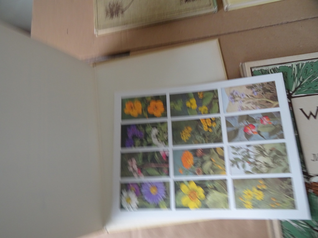 Set plaatjesalbums Jac. P. Thijsse Lente Zomer Herfst Winter - Afbeelding 18