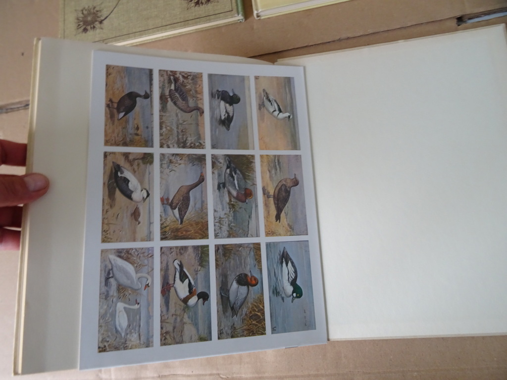 Set plaatjesalbums Jac. P. Thijsse Lente Zomer Herfst Winter - Afbeelding 20