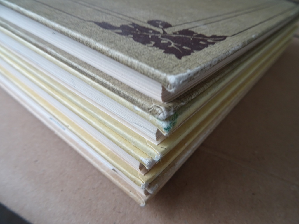 Set plaatjesalbums Jac. P. Thijsse Lente Zomer Herfst Winter - Afbeelding 24