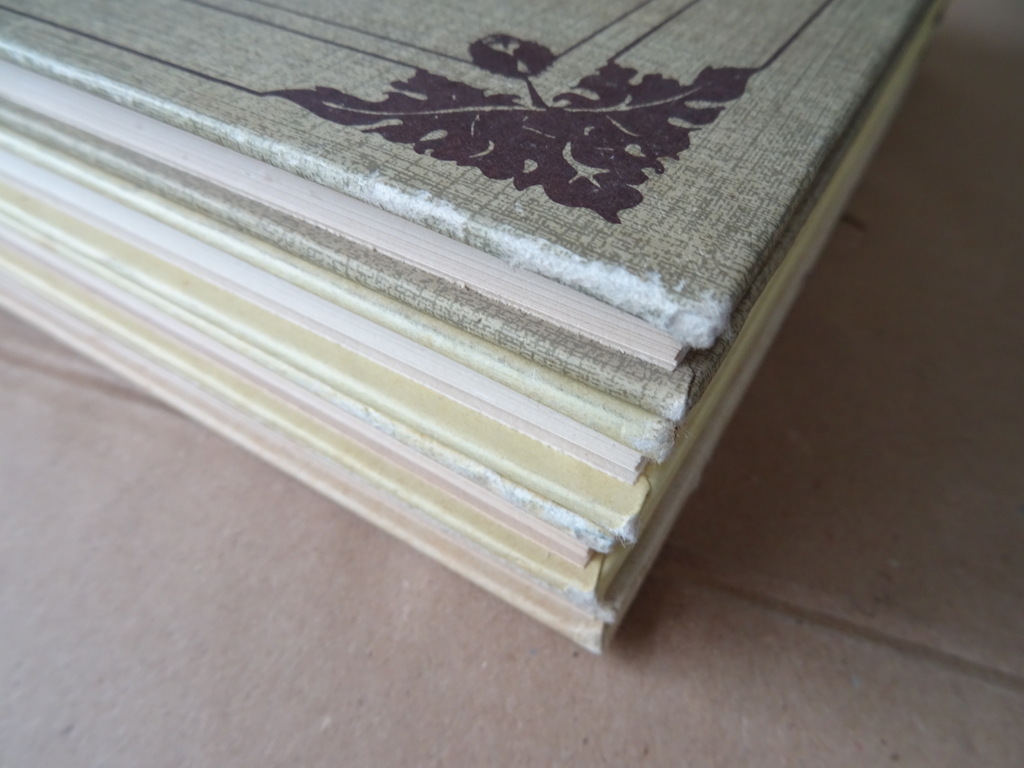 Set plaatjesalbums Jac. P. Thijsse Lente Zomer Herfst Winter - Afbeelding 25