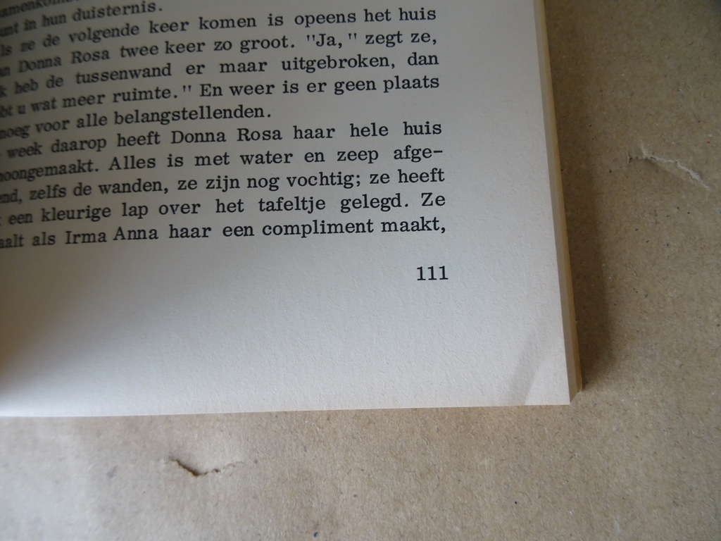 Else Vlug Irma Anna - Afbeelding 10