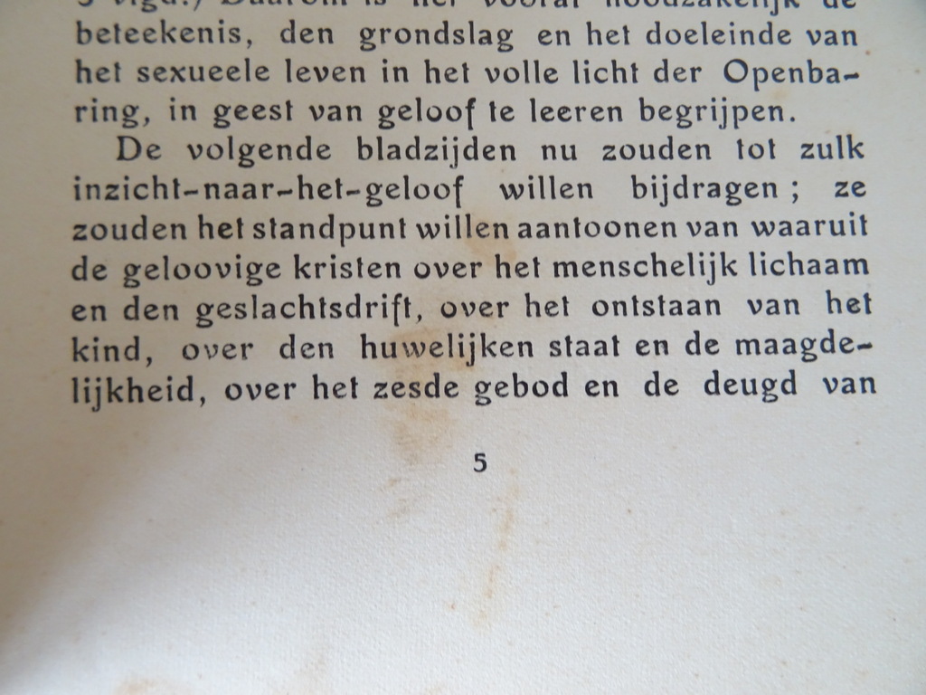 Michael gatterer S.J. Geloof en kuischheid - Afbeelding 11