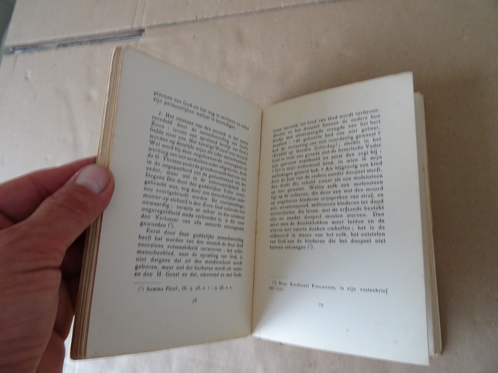 Michael gatterer S.J. Geloof en kuischheid - Afbeelding 14
