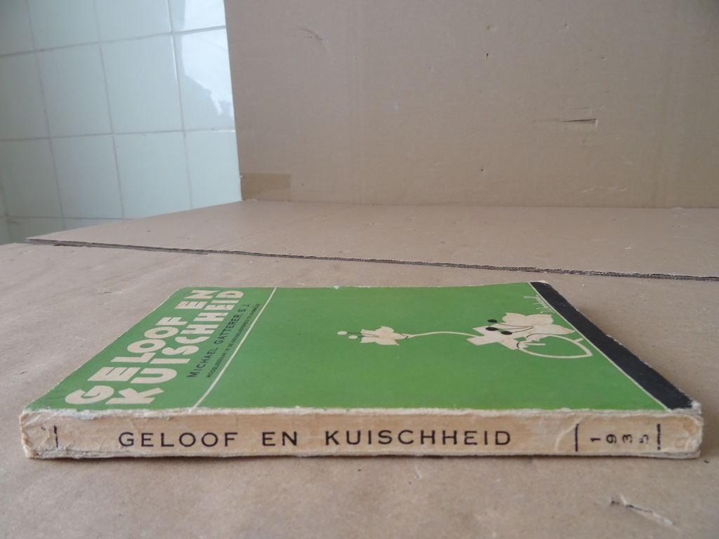 Michael gatterer S.J. Geloof en kuischheid - Afbeelding 20