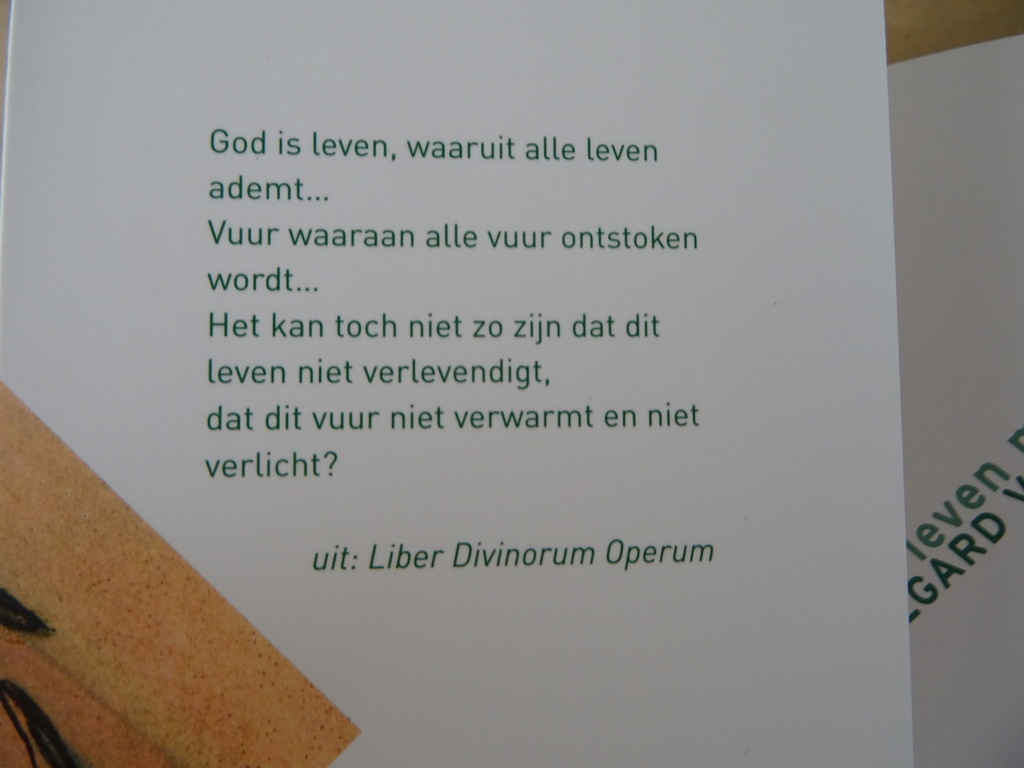 Désirée den Braber Leven met Hildegard van Bingen - Afbeelding 3