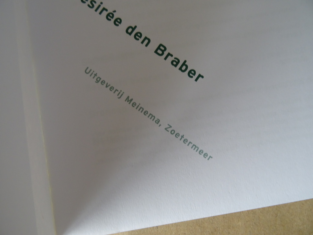 Désirée den Braber Leven met Hildegard van Bingen - Afbeelding 5