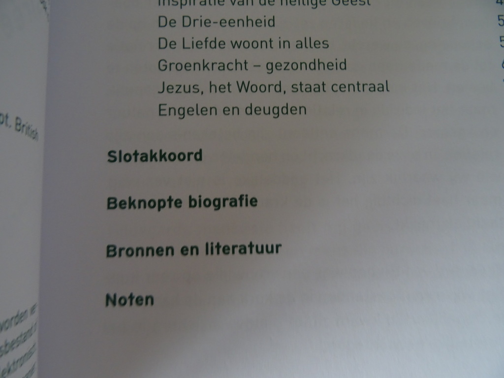 Désirée den Braber Leven met Hildegard van Bingen - Afbeelding 8