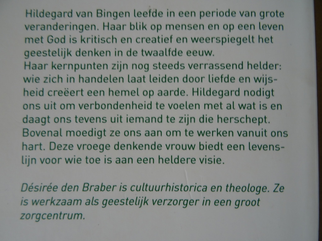 Désirée den Braber Leven met Hildegard van Bingen - Afbeelding 14