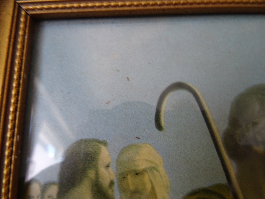 Vintage prent Giovanni Jezus Christus in het korenveld 40x21cm - Afbeelding 2