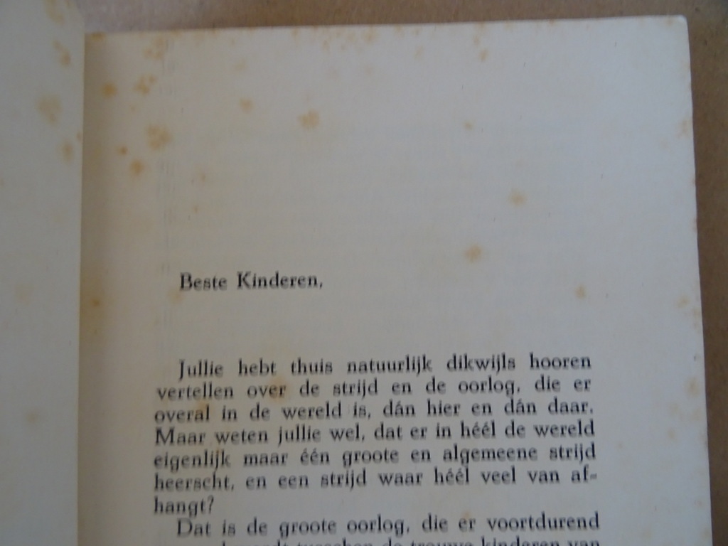 Zuster MA. Teresa Heldenmoed van een kind Het leven van Maria Filippetto - Afbeelding 9