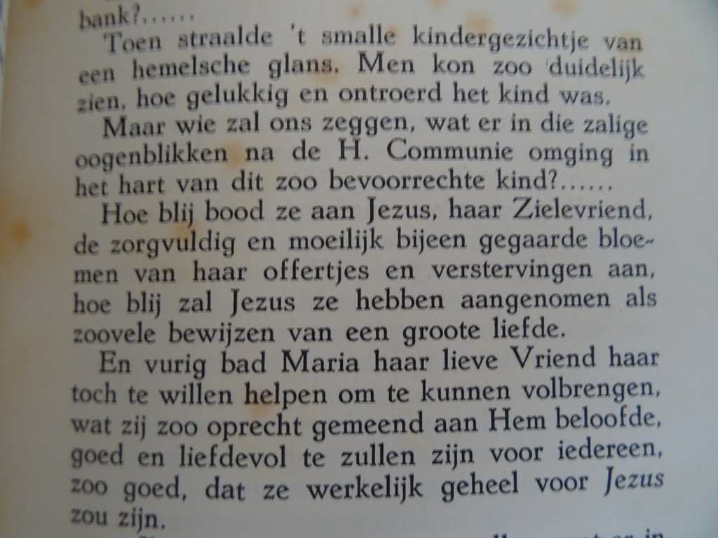 Zuster MA. Teresa Heldenmoed van een kind Het leven van Maria Filippetto - Afbeelding 14