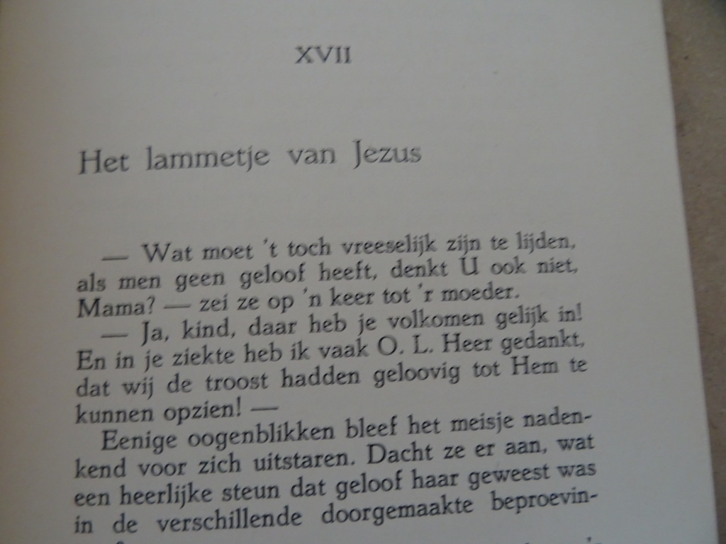 Zuster MA. Teresa Heldenmoed van een kind Het leven van Maria Filippetto - Afbeelding 16