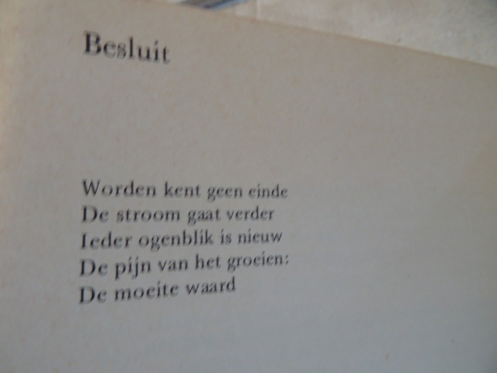 Bruno-Paul de Roeck Gras onder mijn voeten - Afbeelding 15