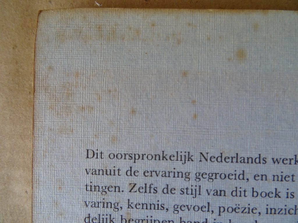 Bruno-Paul de Roeck Gras onder mijn voeten - Afbeelding 19