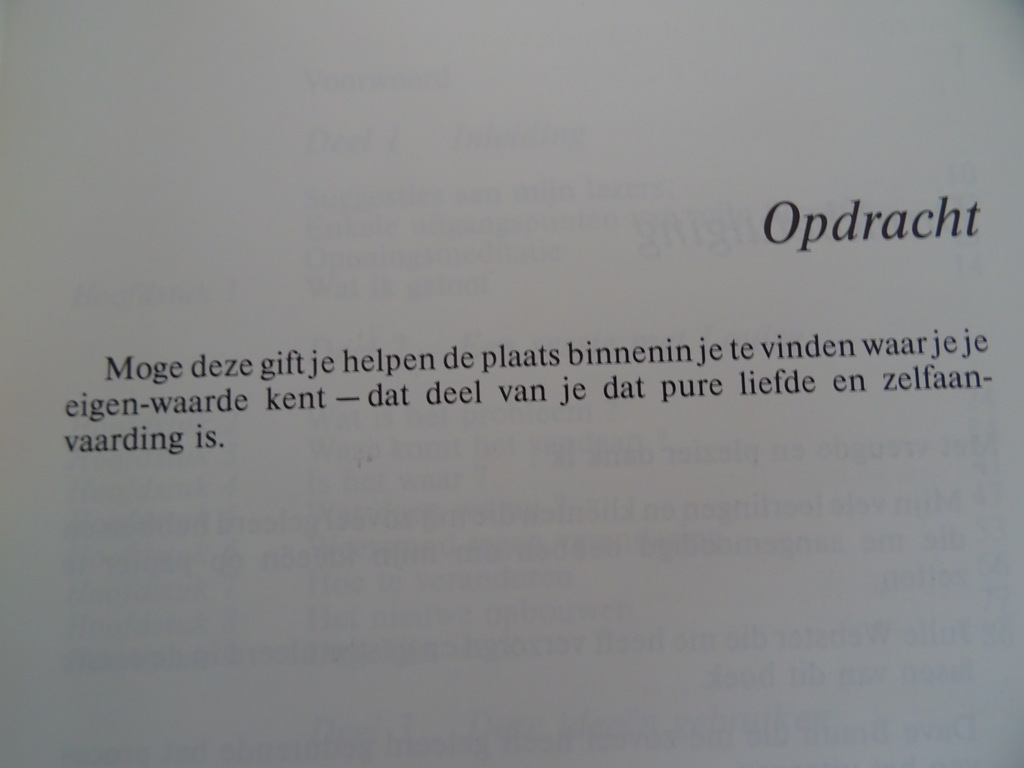 Louise L. Hay Je kunt je leven helen - Afbeelding 8