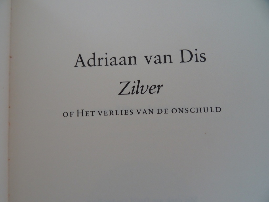 Adriaan van Dis Zilver - Afbeelding 3