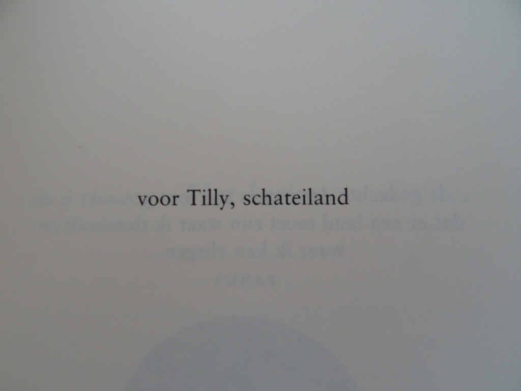 Adriaan van Dis Zilver - Afbeelding 6