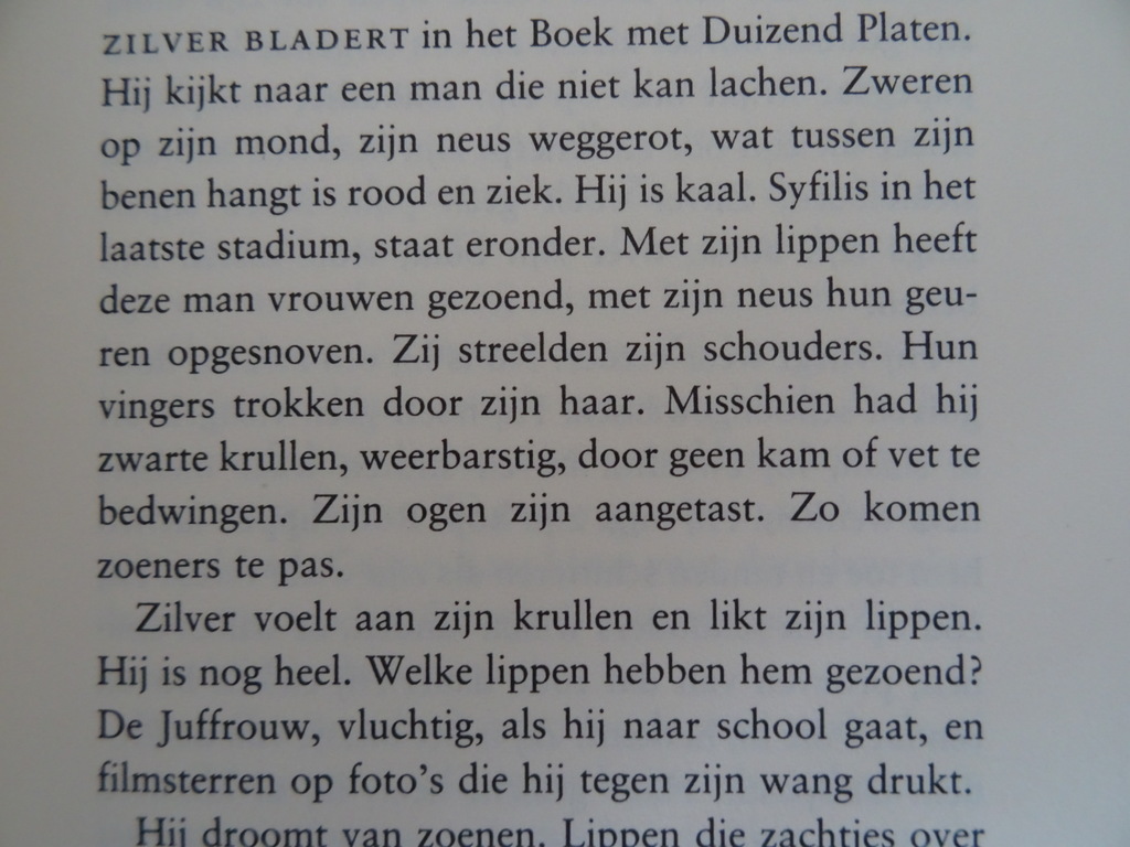 Adriaan van Dis Zilver - Afbeelding 8