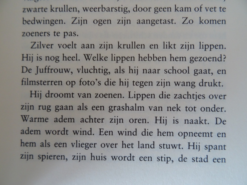 Adriaan van Dis Zilver - Afbeelding 9