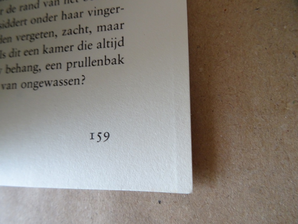 Adriaan van Dis Zilver - Afbeelding 12