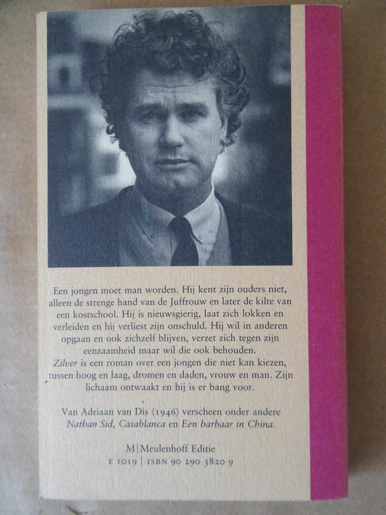 Adriaan van Dis Zilver - Afbeelding 13