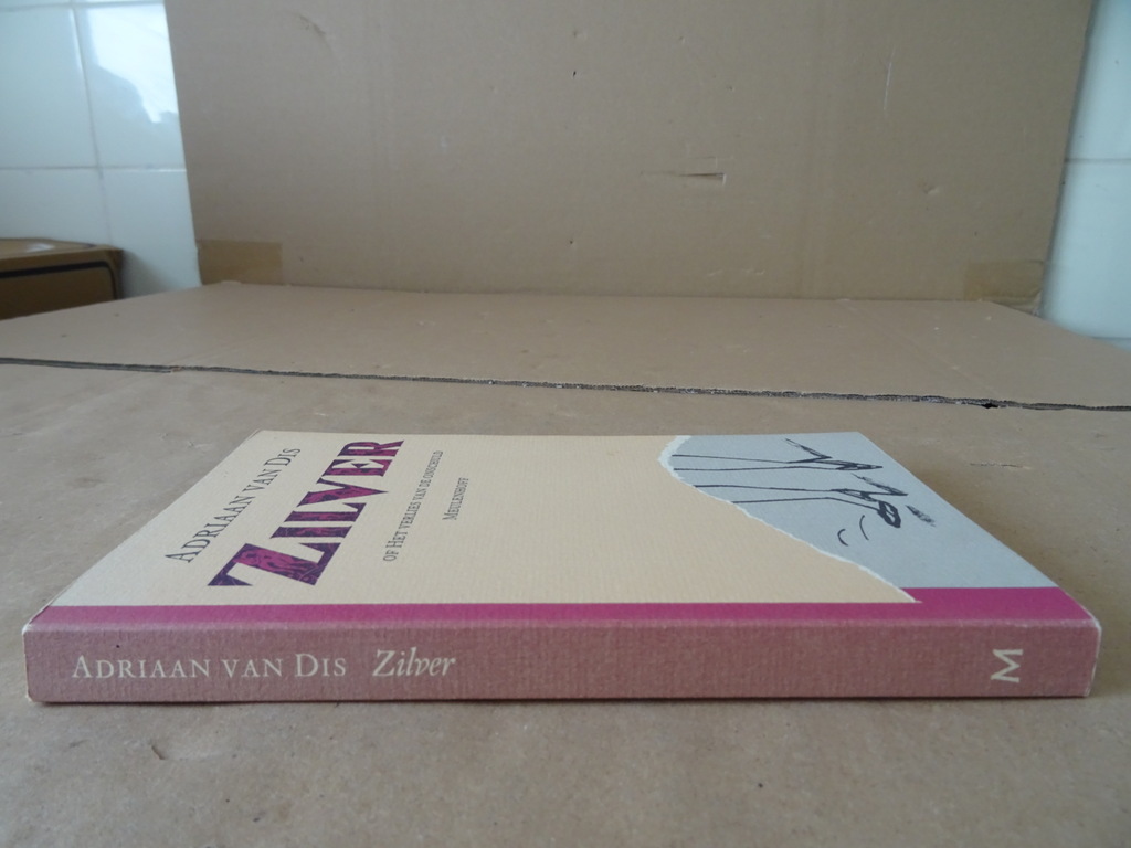 Adriaan van Dis Zilver - Afbeelding 16