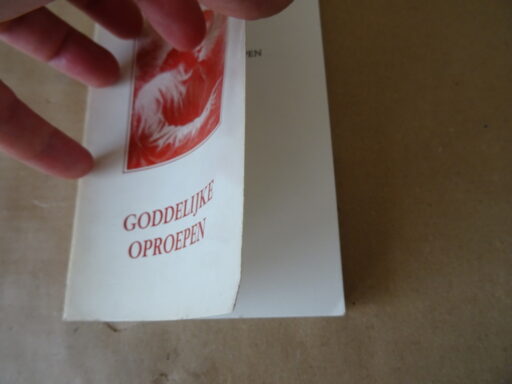 Alternative view of Marie Sevray Goddelijke oproepen