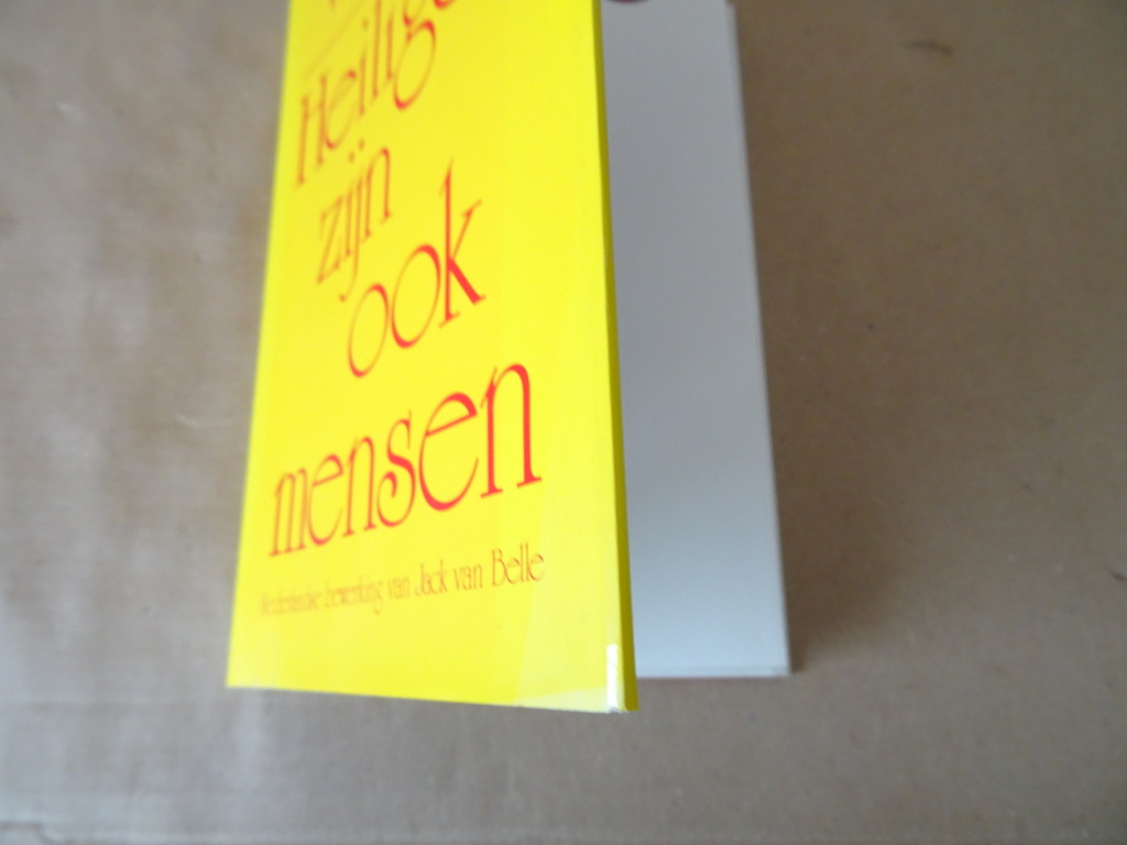 Walter Nigg Heiligen zijn ook mensen - Afbeelding 2