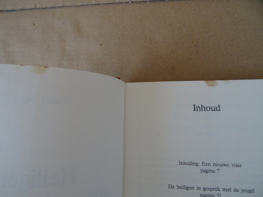 Walter Nigg Heiligen zijn ook mensen - Afbeelding 10