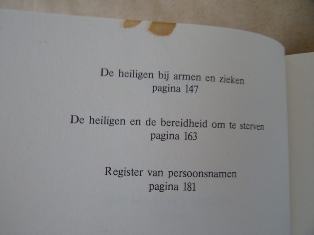Walter Nigg Heiligen zijn ook mensen - Afbeelding 12