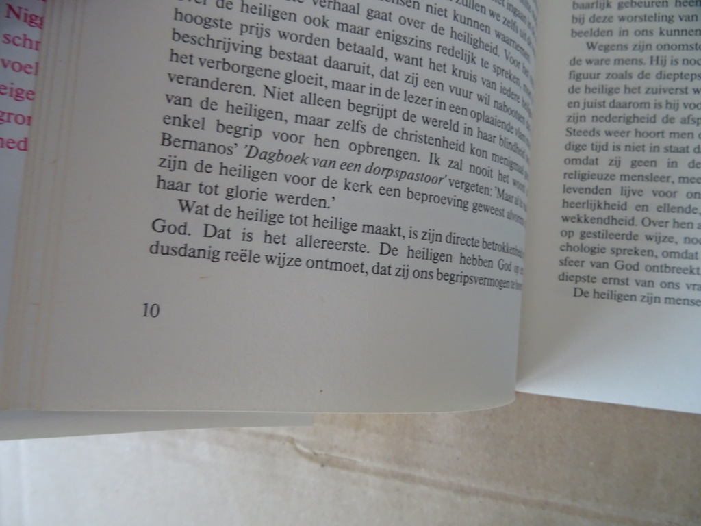 Walter Nigg Heiligen zijn ook mensen - Afbeelding 17