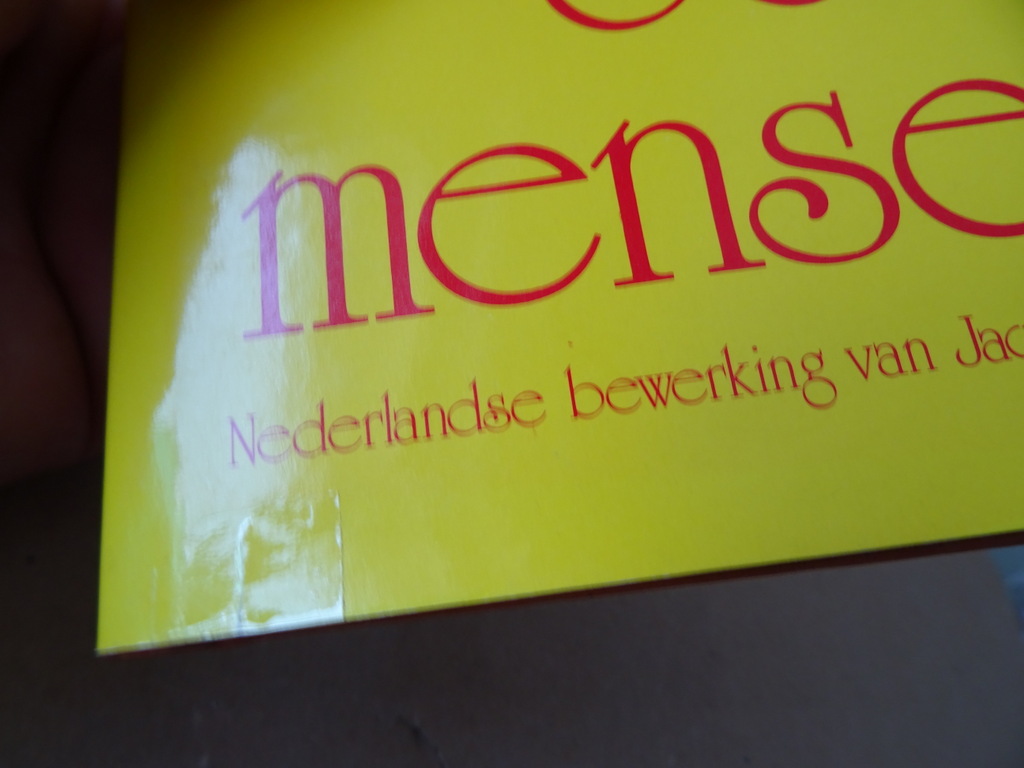 Walter Nigg Heiligen zijn ook mensen - Afbeelding 28