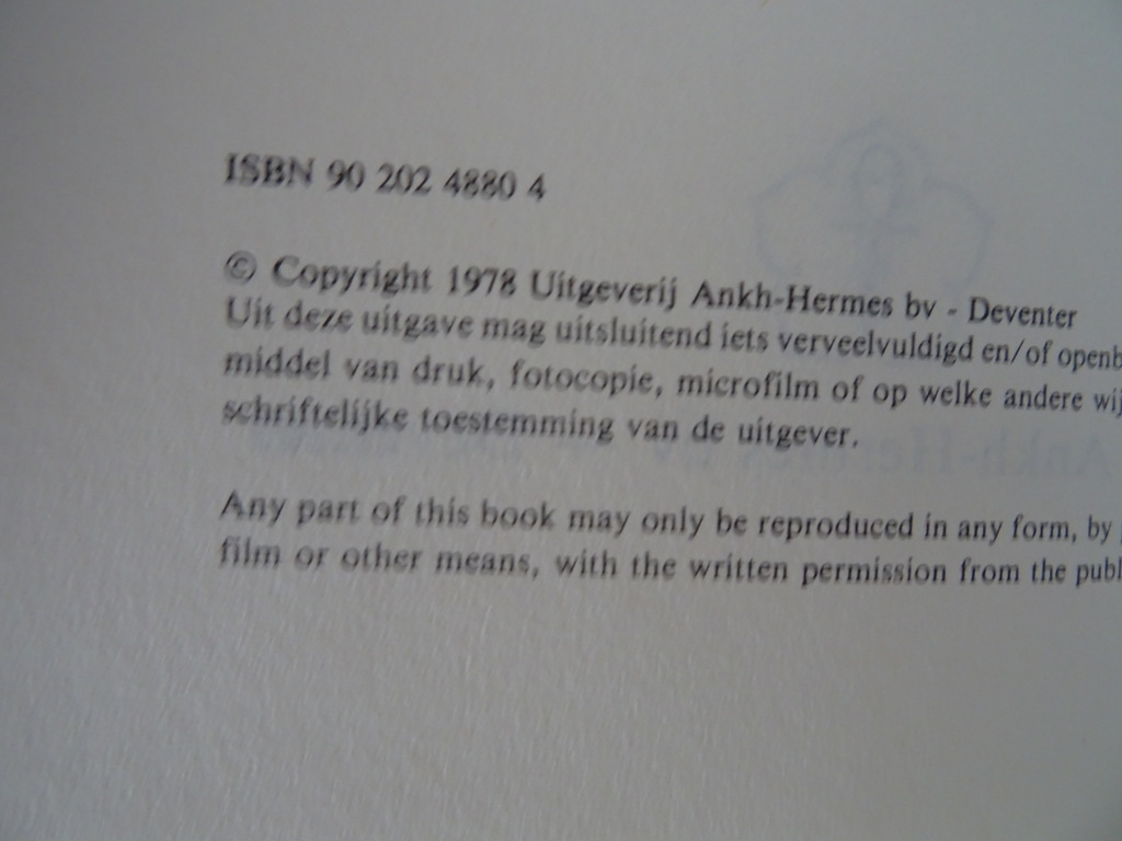 Dr. Walter Nigg Grote Heiligen - Afbeelding 7