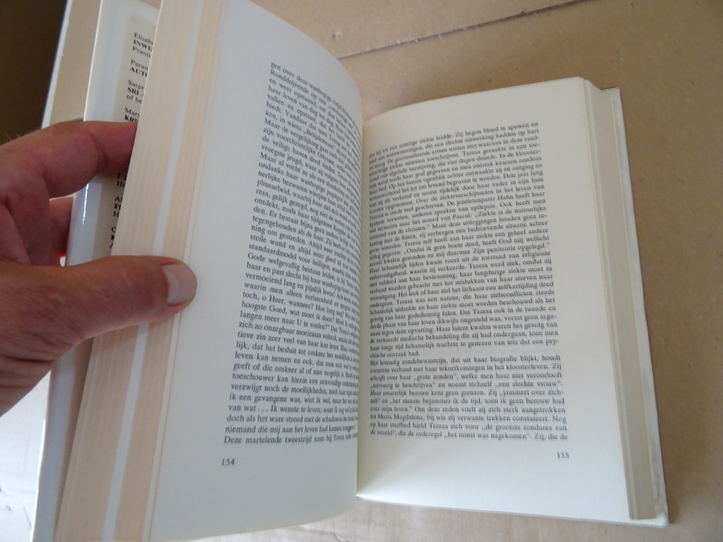 Dr. Walter Nigg Grote Heiligen - Afbeelding 8