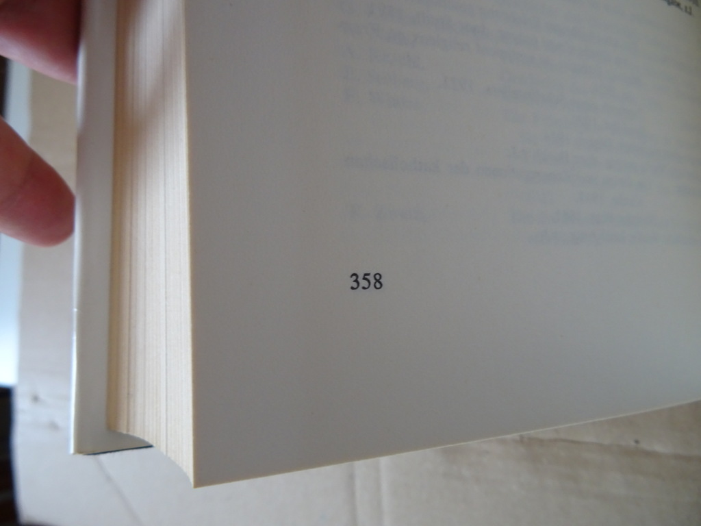 Dr. Walter Nigg Grote Heiligen - Afbeelding 10